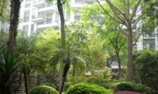 置信巴厘岛D区3室1厅东南