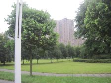 华润银杏华庭3室1厅南