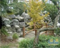 江南房子 3室2厅 南