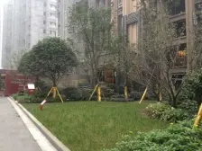 三房双卫,楼层视野好,近轻轨,户型方正,住家安静
