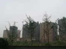 回兴 东衡爱地社区一房35万