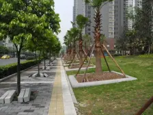 鸳鸯 融科海阔天空二期四房165万