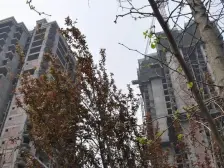 电梯顶跃+带大露台+近轻轨+临商圈+门口公交站+诚心卖