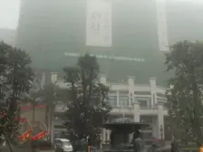 照母山公园旁花园洋房,带地下室和车位,拎包入住