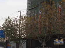 雅戈尔长风8号 2室2厅 南 北