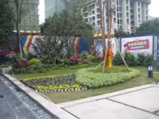 南岸区 海峡路轻轨站 清水小两房 稀有清水 随时看