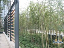 五里店 中维都市美邻三房93万