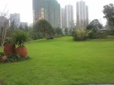 龙头寺品质小区 精装四房 拎包入住