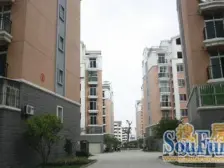 迎宾大道 南北通透,采光好 近地铁 视野好,诚心出售