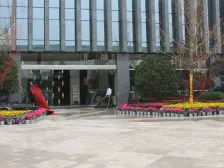 鸳鸯 大雅金开国际一房50万