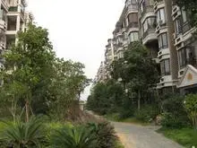 金沙逸都 南北通透,采光好 装修好,环镜优美 视野好,诚心出售