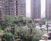 九州中心花园2室2厅南北