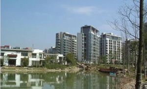 微博公馆一室一厅一厨一卫住宅出售