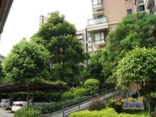 新世纪星城美寓 1室0厅 南