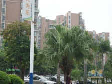 精装一房 南向大阳台 楼层好 采光通风好