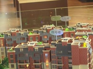 西湖半岛5室1厅东南