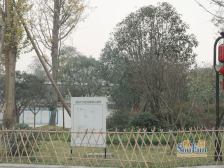 锦城世家 1室1厅 东 东南