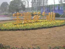 大学城 宝嘉花与山C区三房60万