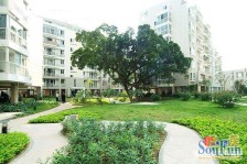 天元美树馆 居家精装小户型 楼梯3楼 一梯两户 外阳台