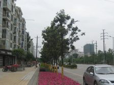 河滨鹭岛 3室2厅 东南