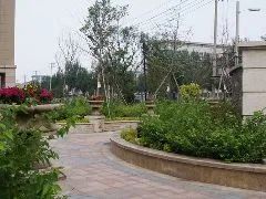 澳海西湖印象 南北 配套全 勋望杏坛 出行方便