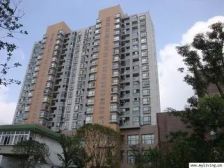 金色城品4室2厅西北