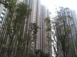 绿地缤纷城A栋 1室0厅 西北
