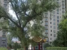 2021年1月交房 次新毛坯房 南北通透 正规三室花园小区