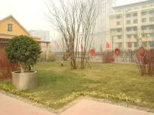 银滩雅苑 3室2厅 南 北