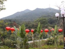 莲湖山庄,独栋大别墅,依山傍水 秀丽美墅