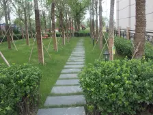中海朝阳郡二期铂宫 南北通透,采光好 装修好,环镜优美 视野好,诚心出售
