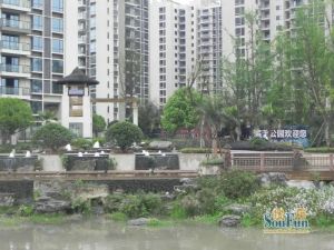 万达旁大型小区品质电梯标准大三房