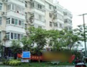 无为路九中旁中间楼层采光价