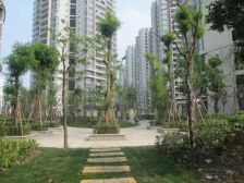 奥城花园洋房带楼顶花园使用面积大拎包入住