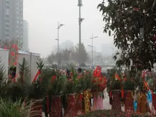 龙洲湾 江尚怡景二房36万