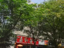 高品质 二分部小户型一室一厅 楼层佳光线好0-0