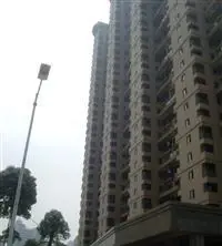 新景禾祥龙郡