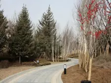 林隐天下三期悦山郡电梯顶层洋房毛坯