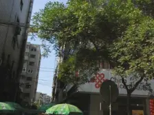 武都路东口,低楼层小区可停车南北朝向户型方正精装.