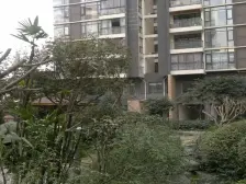 电梯小高层,跃层带大花园,露台