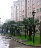 【枫林花苑】| 郑州市高新技术产业开发区枫香街92号7号楼2单元5层504号