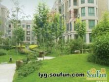 电梯房 2室2厅精装修 提包就住 光线很好