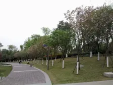 西城尚锦 3室1厅 东