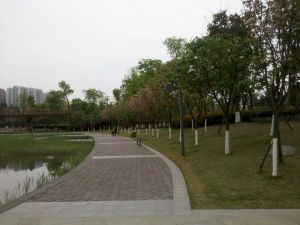 西城尚锦 3室2厅 东南