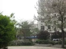 纬二路27号院 3室1厅 南 北