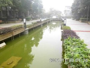 水韵江南2室1厅南北