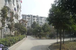 水韵江南3室2厅南北