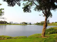 看湖看球场的双拼大别墅哦,有菜园子,