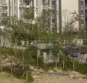 中原路桐柏路58.52平方小2房93年35万 首付10万