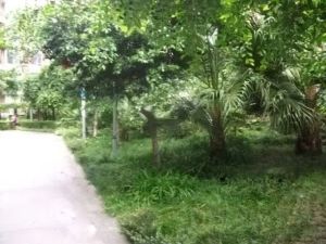 汇乐花城2室2厅南